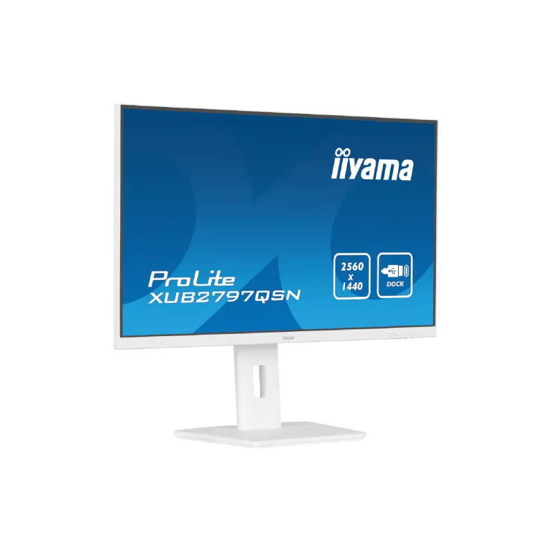 Monitor Philips (245B1/00)