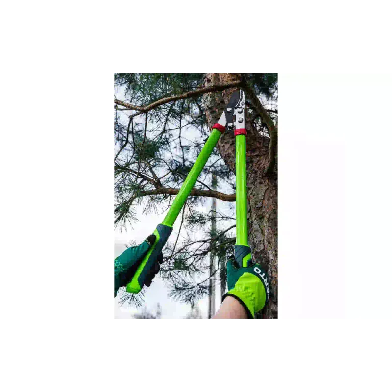 Tesoura Verto (15G251)