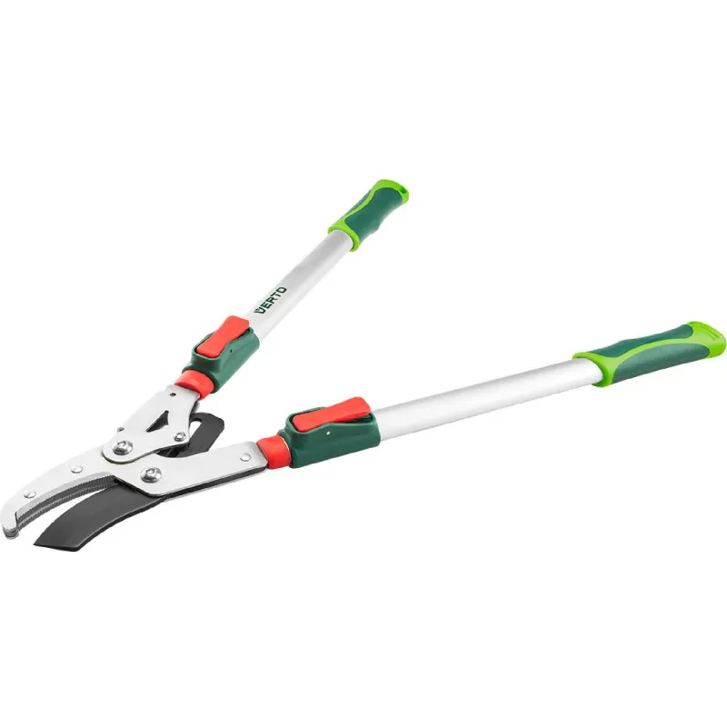 Лозари Verto (15G259)