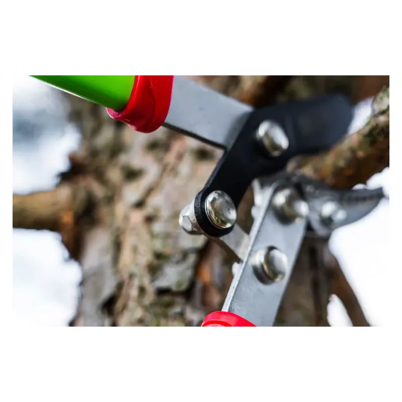 Tesoura Verto (15G251)