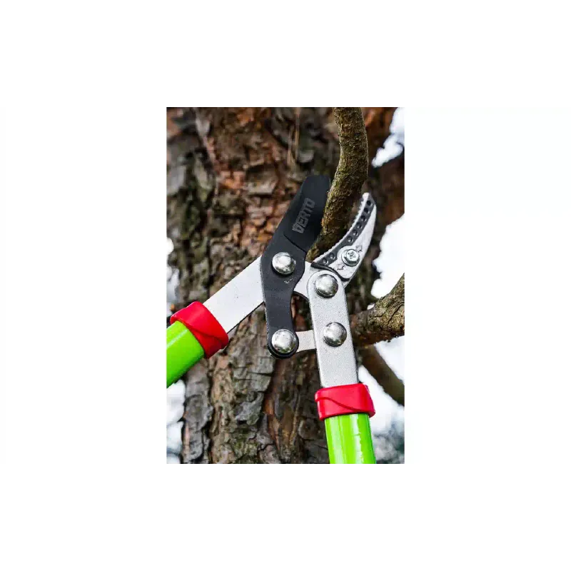 Tesoura Verto (15G251)