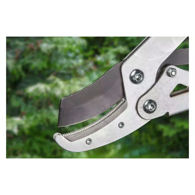 Лозари Verto (15G259)