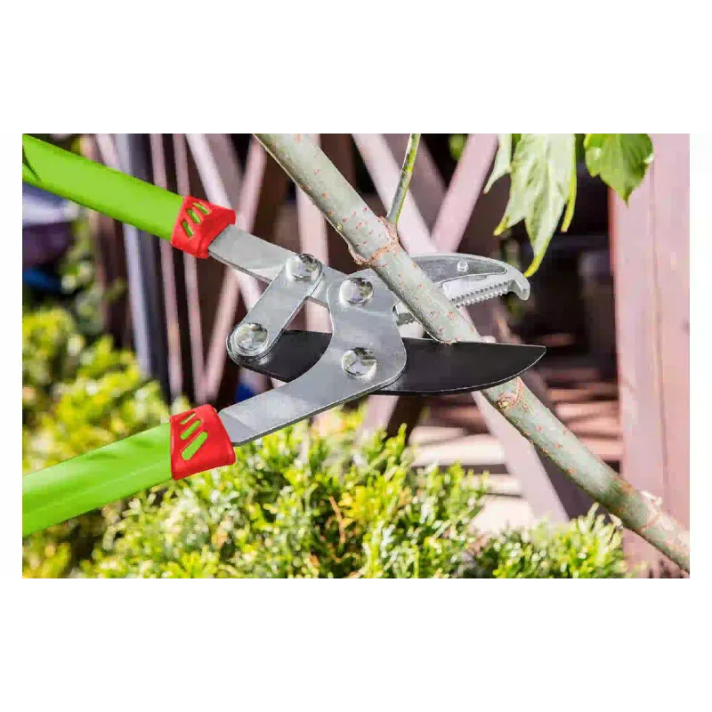 Tesoura Verto (15G251)