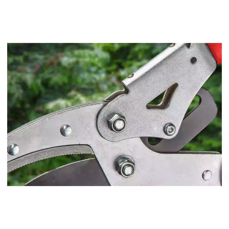 Лозари Verto (15G259)