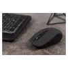 Mouse 2E  Black (2E-MF211WB)