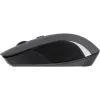 Mouse 2E  Black (2E-MF211WB)