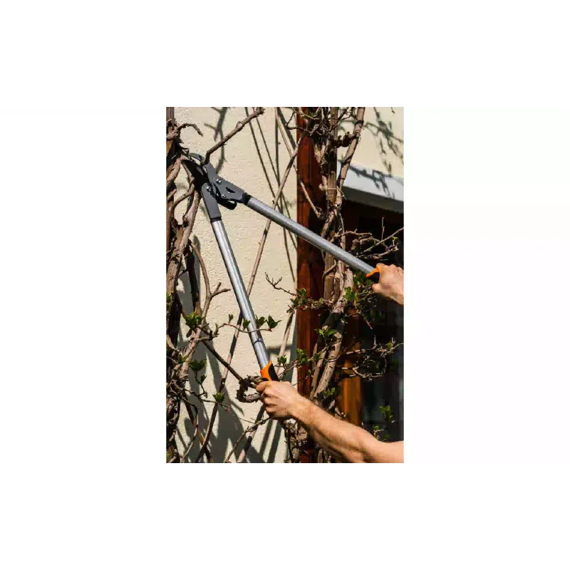 Škarje za obrezovanje Neo Tools (15-250)