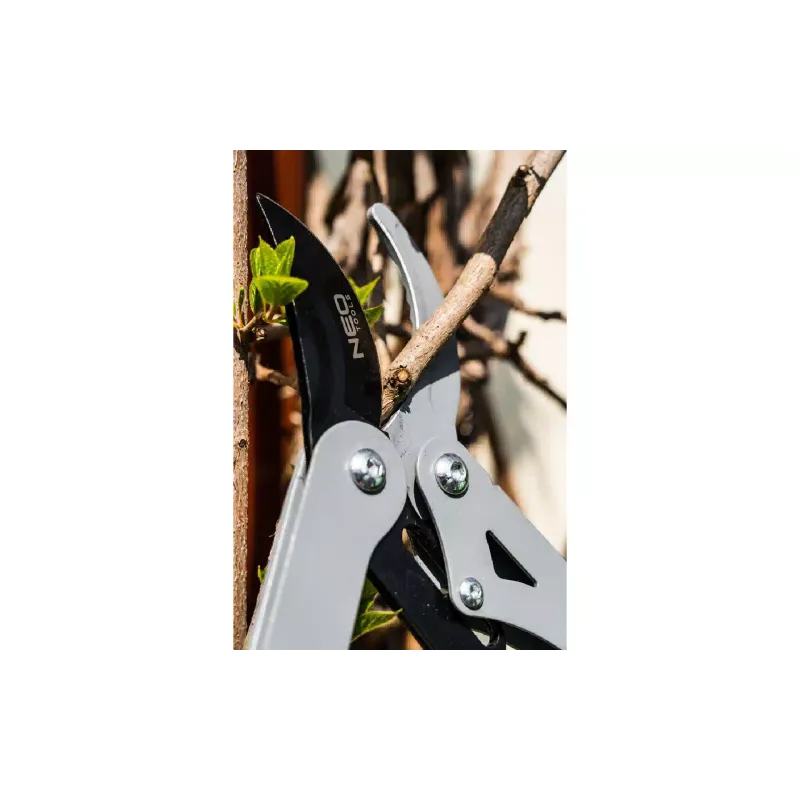 Škarje za obrezovanje Neo Tools (15-250)