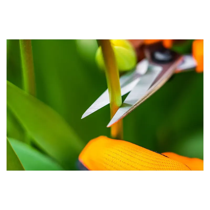 Škarje za travo Neo Tools (15-215)