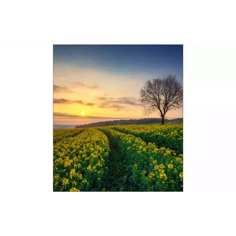 Επίδειξη Magnetoplan (VE55L-A)