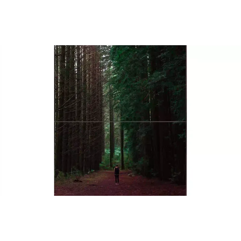 Επίδειξη Magnetoplan (VE55L-A)