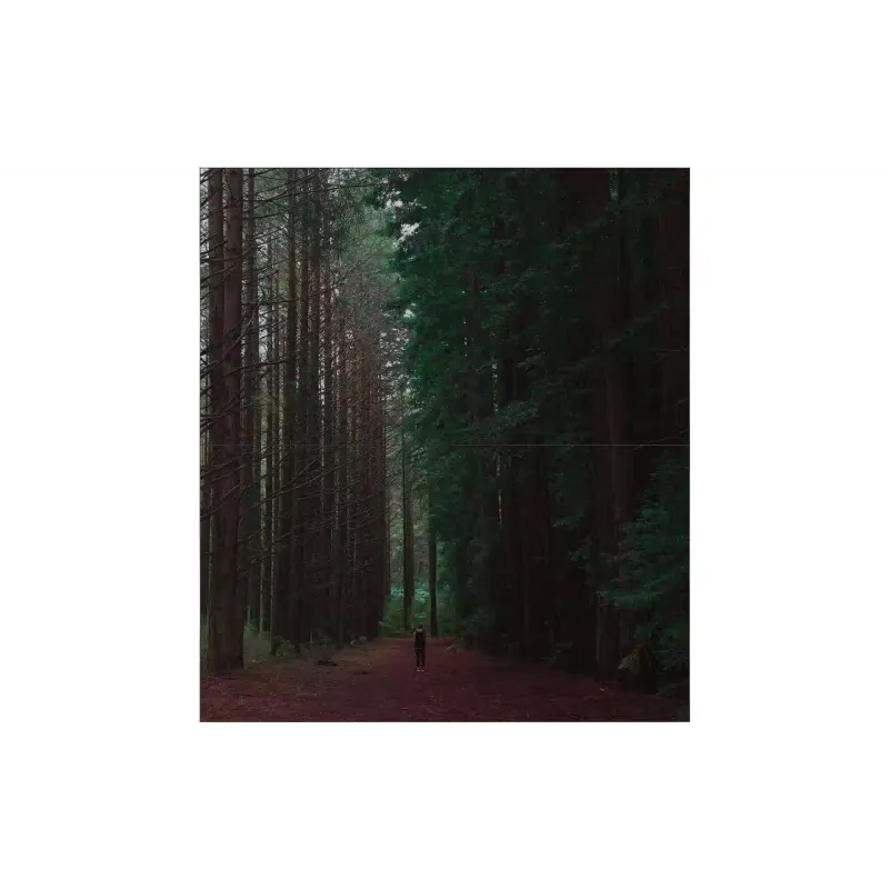 Επίδειξη Magnetoplan (VE55L-A)