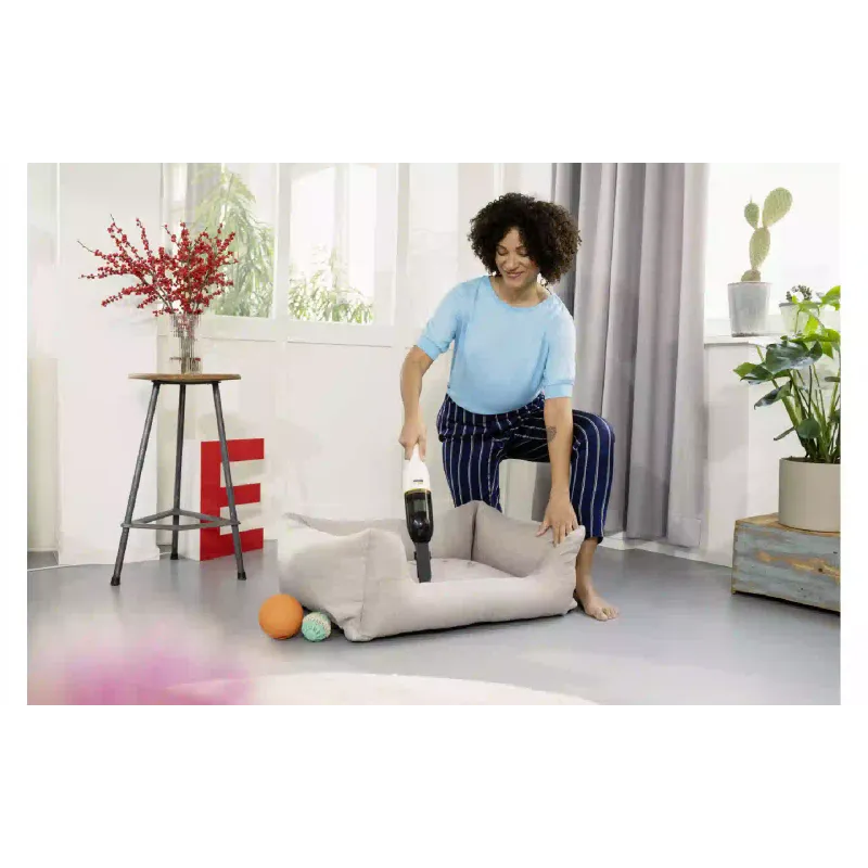 Пилосос Karcher (1.198-330.0), White