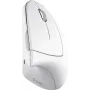 Miška Trust, White (25132_TRUST)