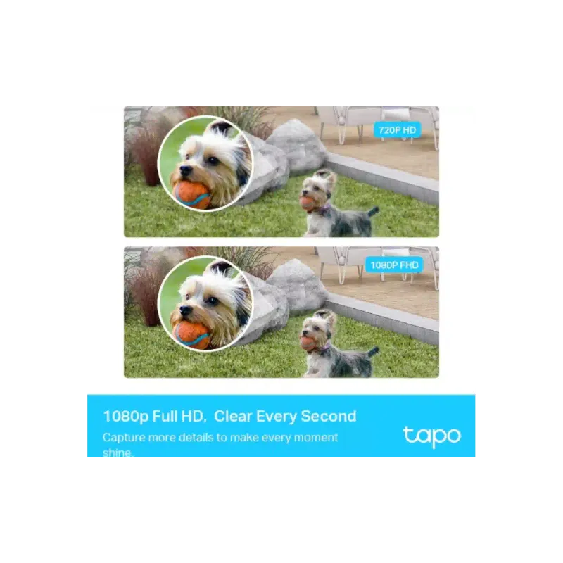Câmera de vídeo IP TP-Link (Tapo C400S2)