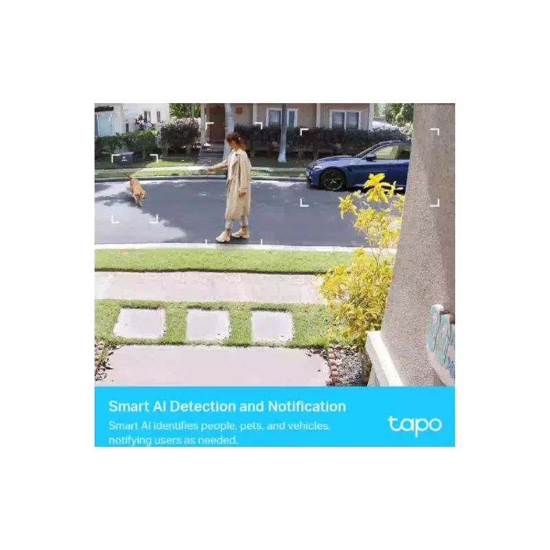 Câmera de vídeo IP TP-Link (Tapo C400S2)