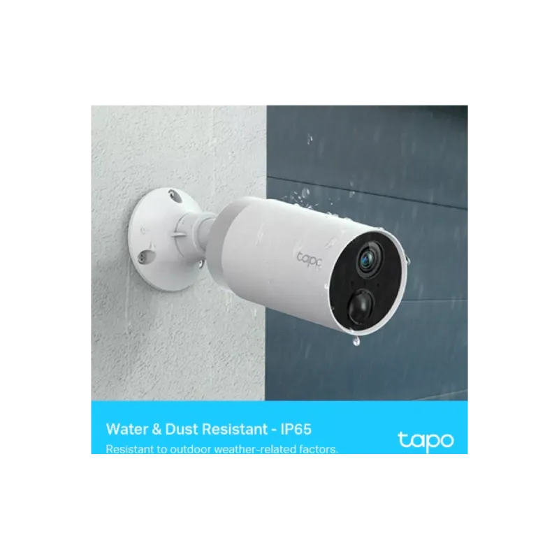 Câmera de vídeo IP TP-Link (Tapo C400S2)