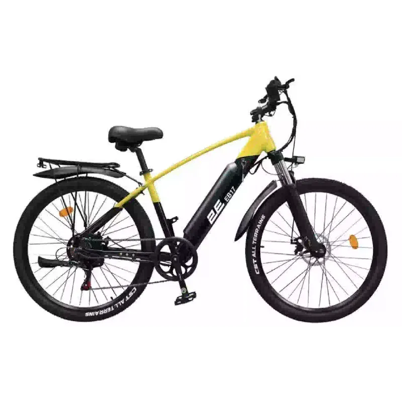 Electric bicycle 2E (EB17), Yellow/Black