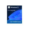 برمجة Microsoft Windows 11 Pro Upgrade (DG7GMGF0D8H4-0004)