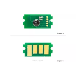Chip BASF (BASF-CH-TK1110)
