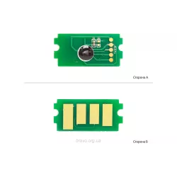 Chip BASF (BASF-CH-TK1120)