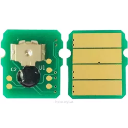 Chip BASF (BASF-CH-TN2421)