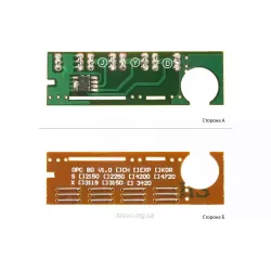 Chip BASF (BASF-CH-XP3500)