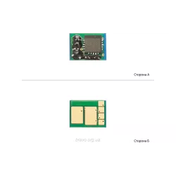 Chip BASF (BASF-CH-CF531A)