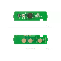 Chip BASF (BASF-CH-C404S)