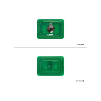 Chip BASF  Magenta (BASF-CH-44844506)