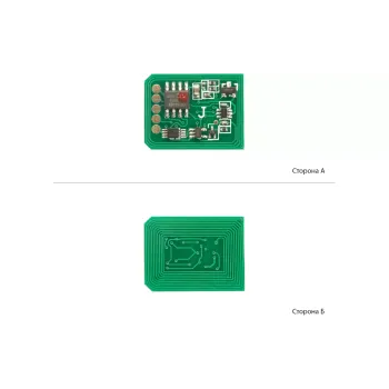 Chip BASF  Magenta (WWMID-71091)