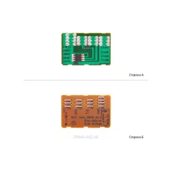 Chip BASF (WWMID-70664)