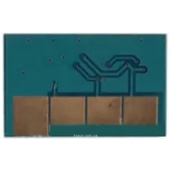 Chip BASF (WWMID-70684)