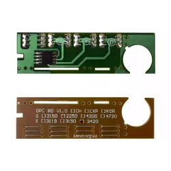 Chip BASF (WWMID-71117)