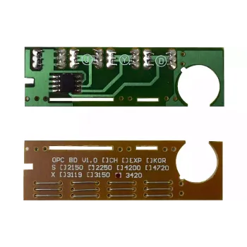 Chip BASF (WWMID-71117)