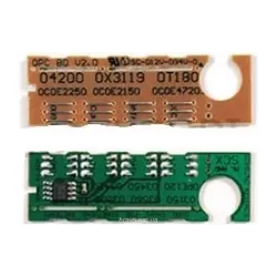 Chip BASF (WWMID-71136)