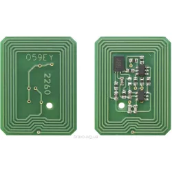 Chip BASF (BASF-CH-43324421)