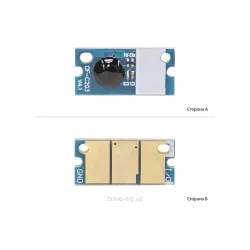 Chip BASF (WWMID-72290)