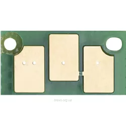 Chip BASF (WWMID-72872)