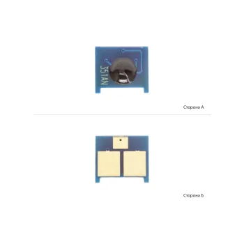 Chip Delacamp (0980523/DLC)