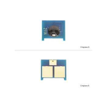 Chip Delacamp (0980473/DLC)