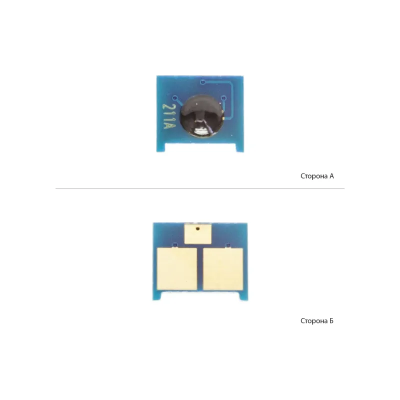 Chip Delacamp (0980473/DLC)