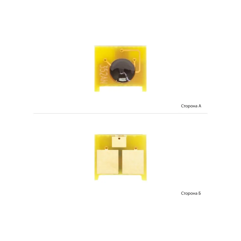 Chip Delacamp (0980525/DLC)