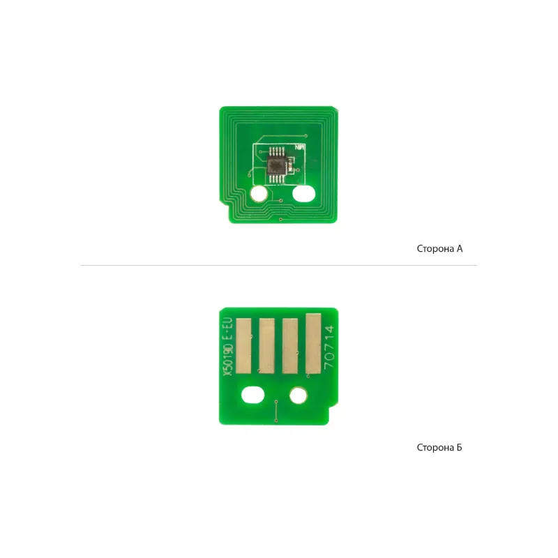 Chip BASF  (BASF-CH-013R00670)