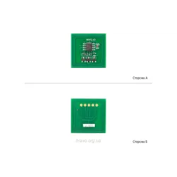 Chip BASF (WWMID-70721)