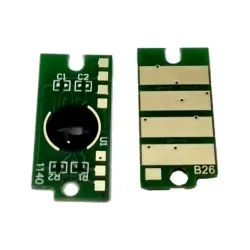 Chip WWM, Black (JYD-XerB405-585)