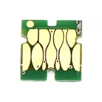 Chip WWM, Black (CR.T41F5BK)