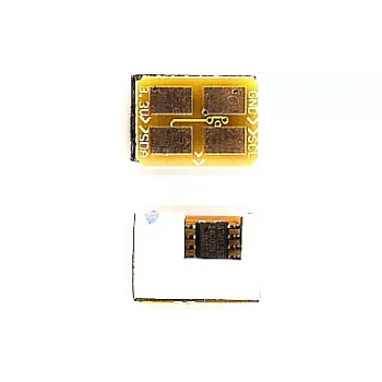 Chip WWM (CSC300Y)