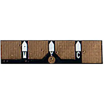 Chip WWM (CSC320C)