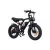 Electric bicycle 2E (EB11), Red/Black